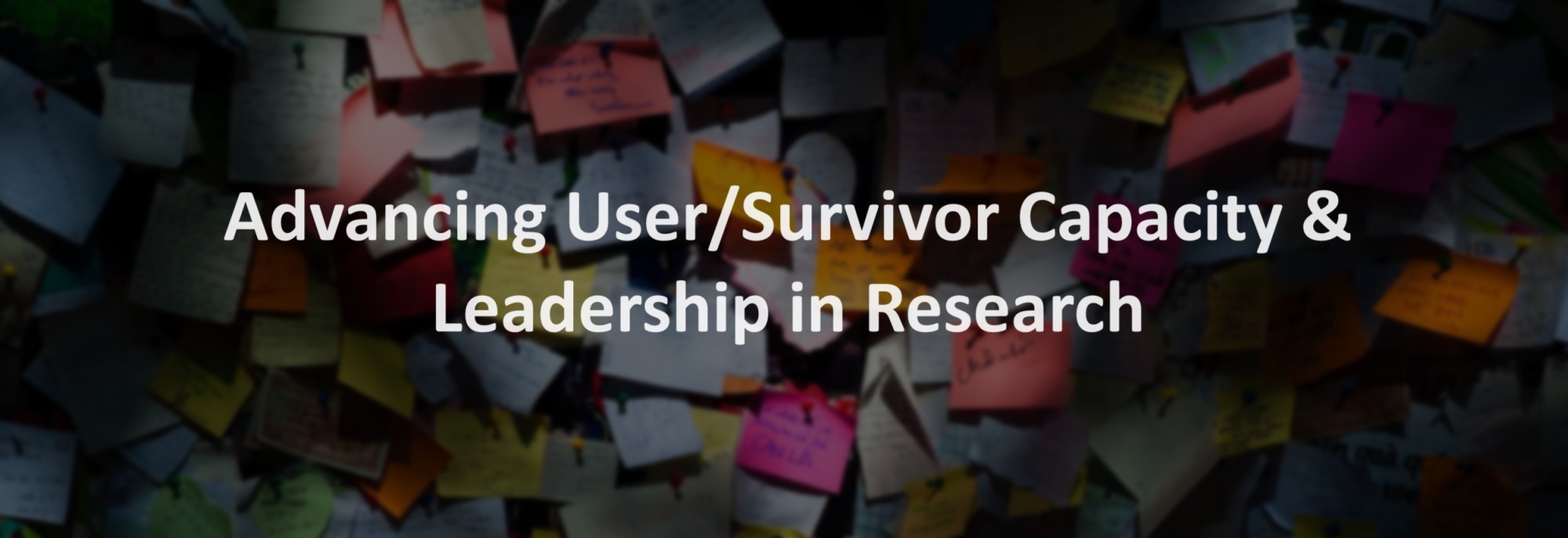 Dark image of a surface covered in a large number of multi-coloured post-it notes with an overlay of text saying Advancing User/Survivor Capacity & Leadership in Research